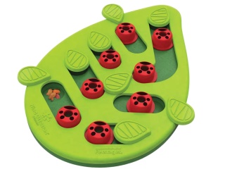 Nina Ottosson Cat Buggin' Out Puzzle Level 2 - zabawka edukacyjna dla kota, poziom 2