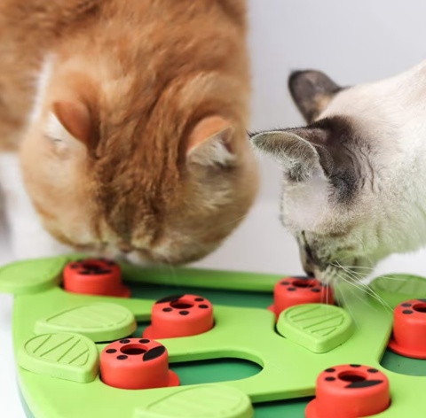 Nina Ottosson Cat Buggin' Out Puzzle Level 2 - zabawka edukacyjna dla kota, poziom 2