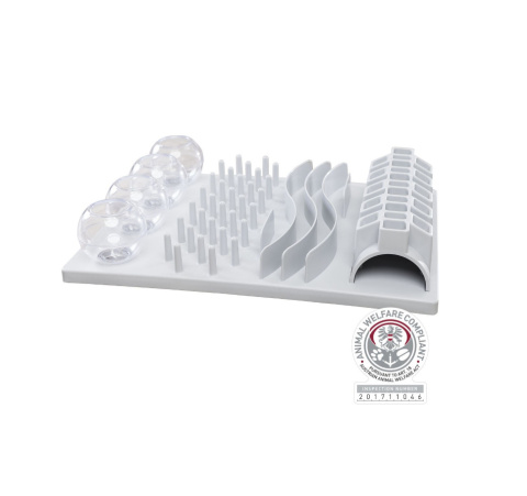 Cat Activity Fun Board