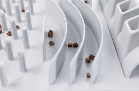 Cat Activity Fun Board