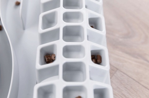 Cat Activity Fun Board