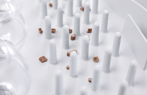 Cat Activity Fun Board