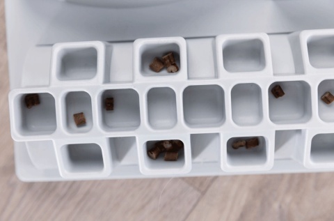 Cat Activity Fun Board