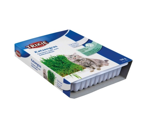 Trawa w pojemniku do zasiania