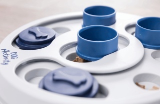 Zabawka dla psa Dog Activity Flip Fun