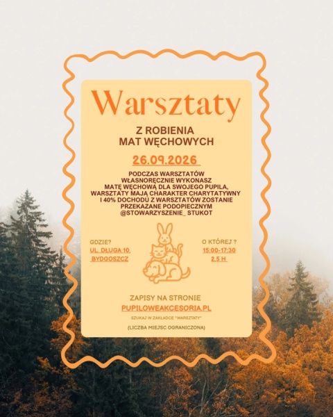 Warsztaty z robienia mat węchowych dla Stowarzyszenia Stukot